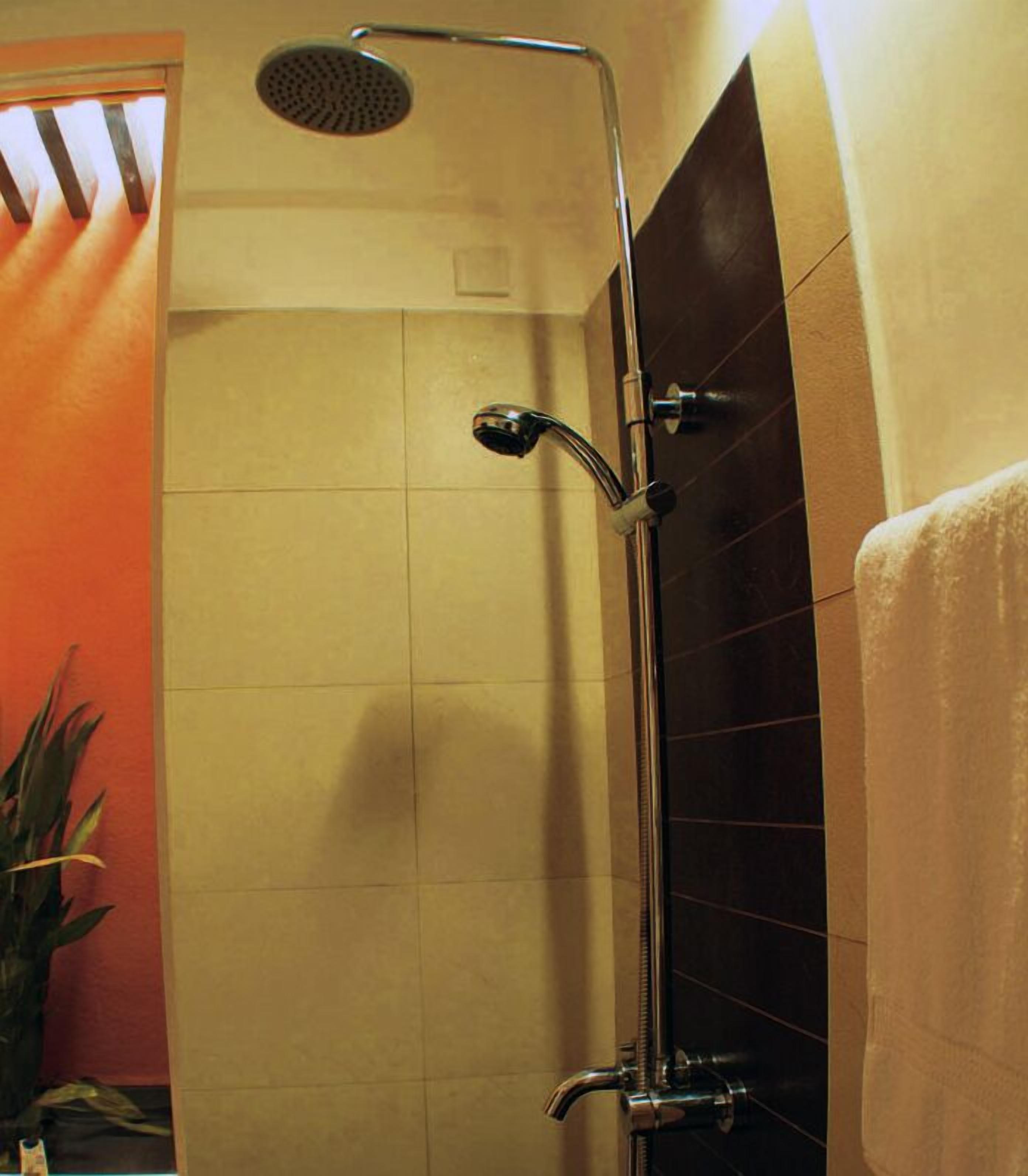 A shower with a handheld showerhead, a wall-mounted faucet, and a towel rack.