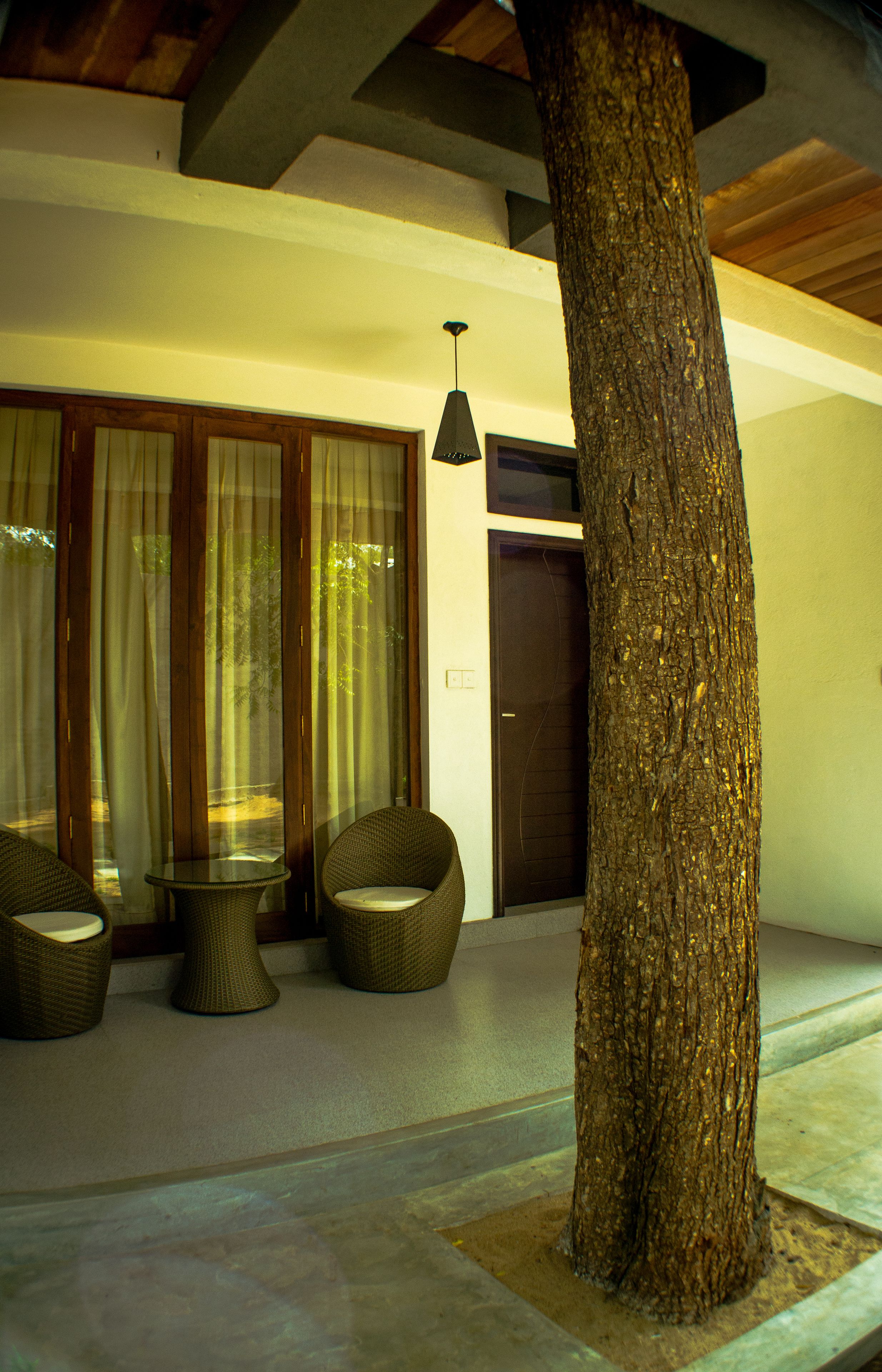 Un árbol en un patio con mobiliario de mimbre y una puerta.