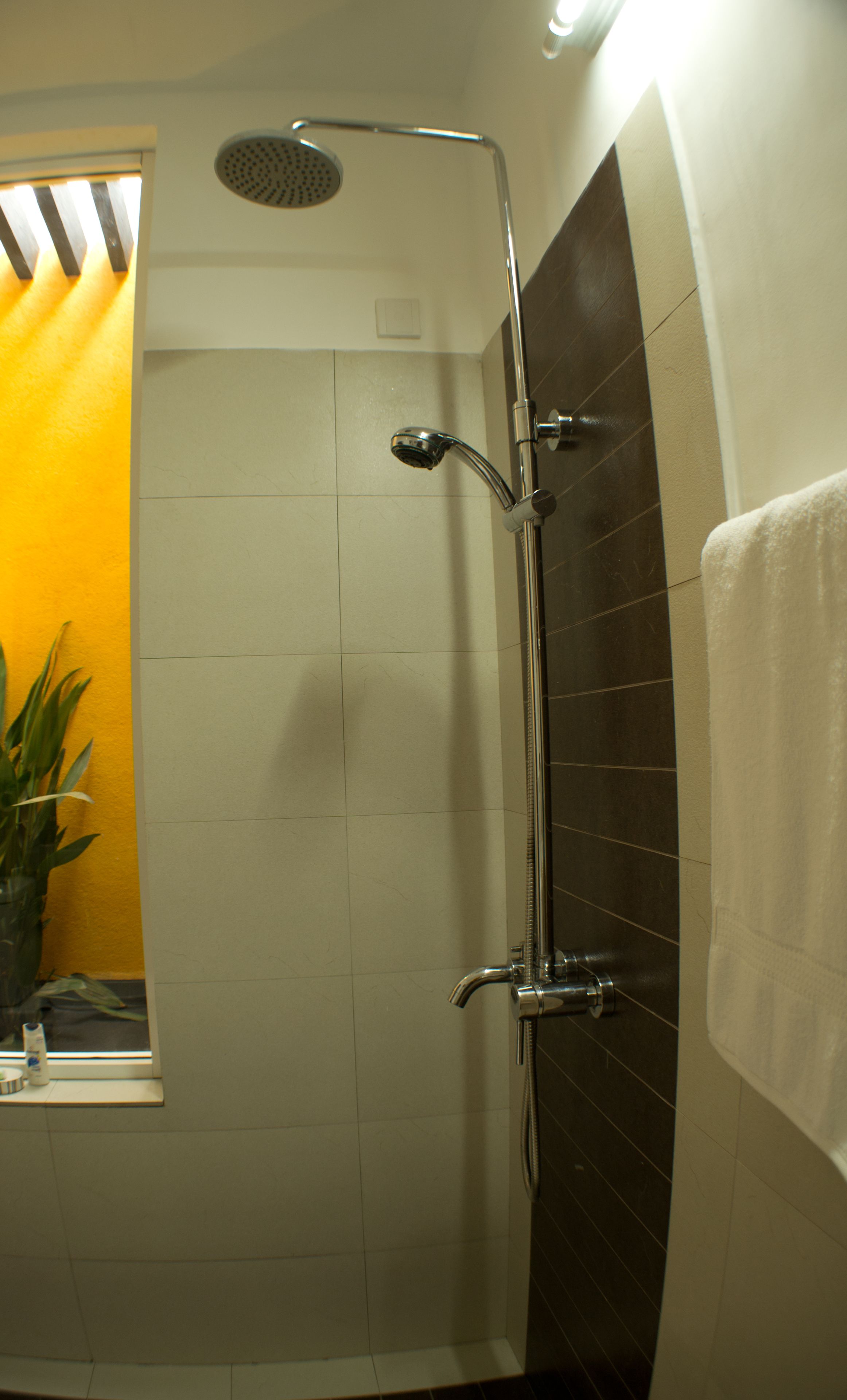 A shower with a handheld showerhead and a wall-mounted faucet.