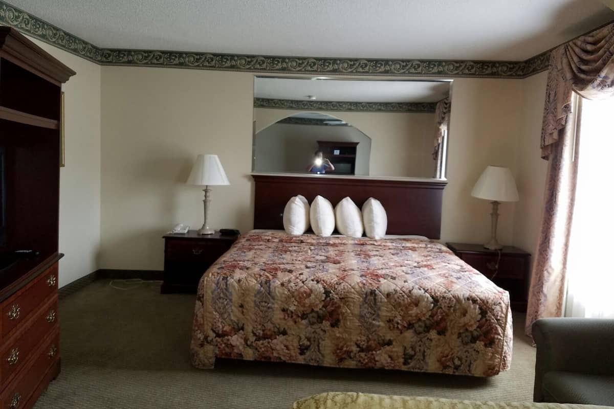 Jacuzzi Suite, 1 King Bed | Iron/ironing board, free WiFi