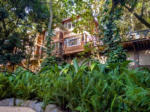 Habitación económica | Exterior