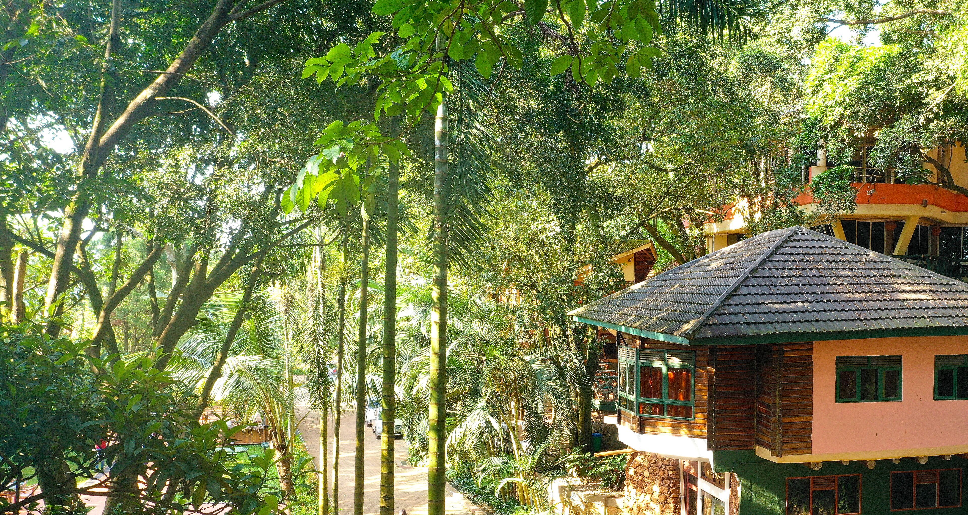 A traditional wooden house with a tiled roof, surrounded by lush greenery and tall trees.