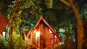 Een houten hutje omringd door bomen in de nacht.
