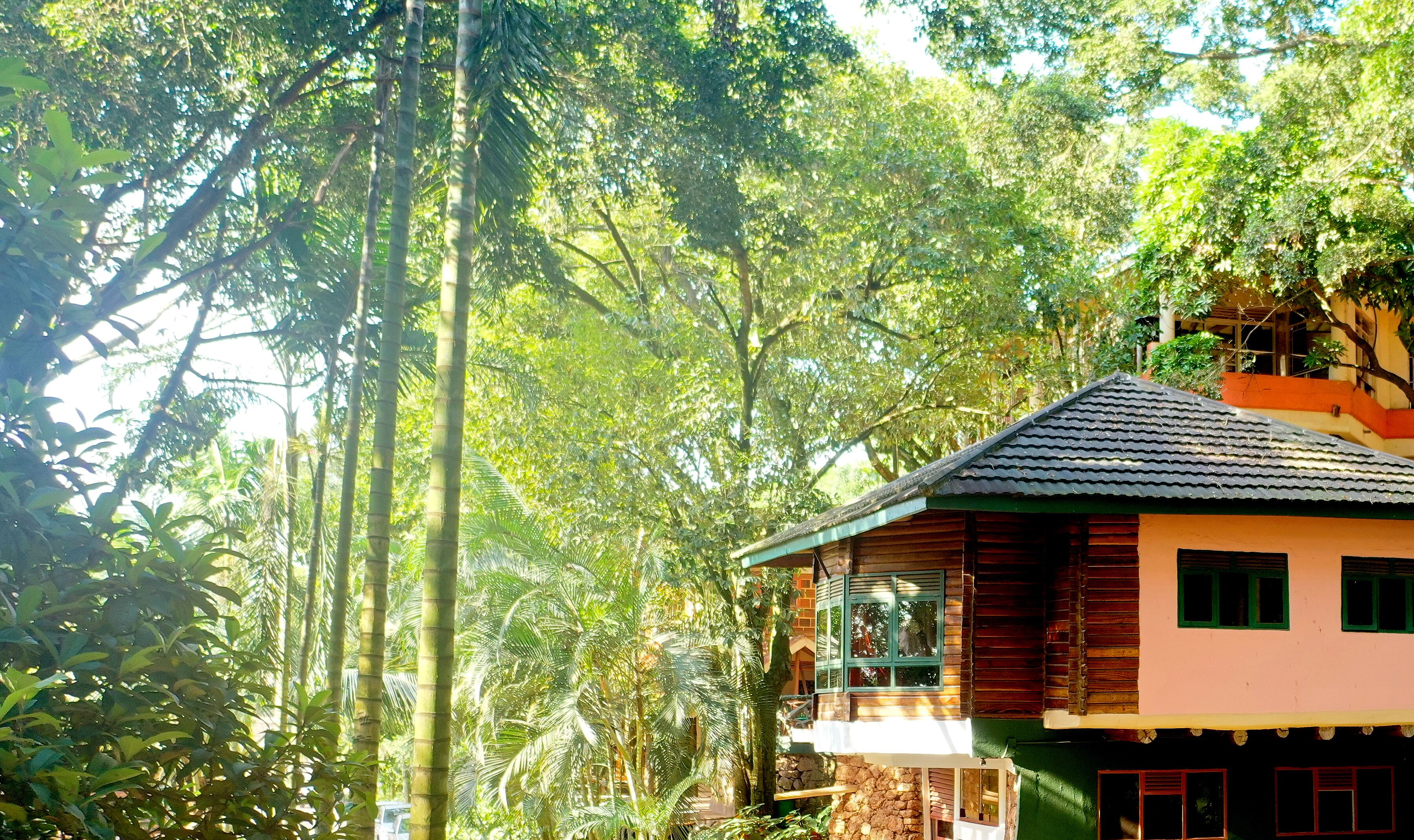 Una casa de madera con techo de tejas, rodeada de exuberante follaje tropical.