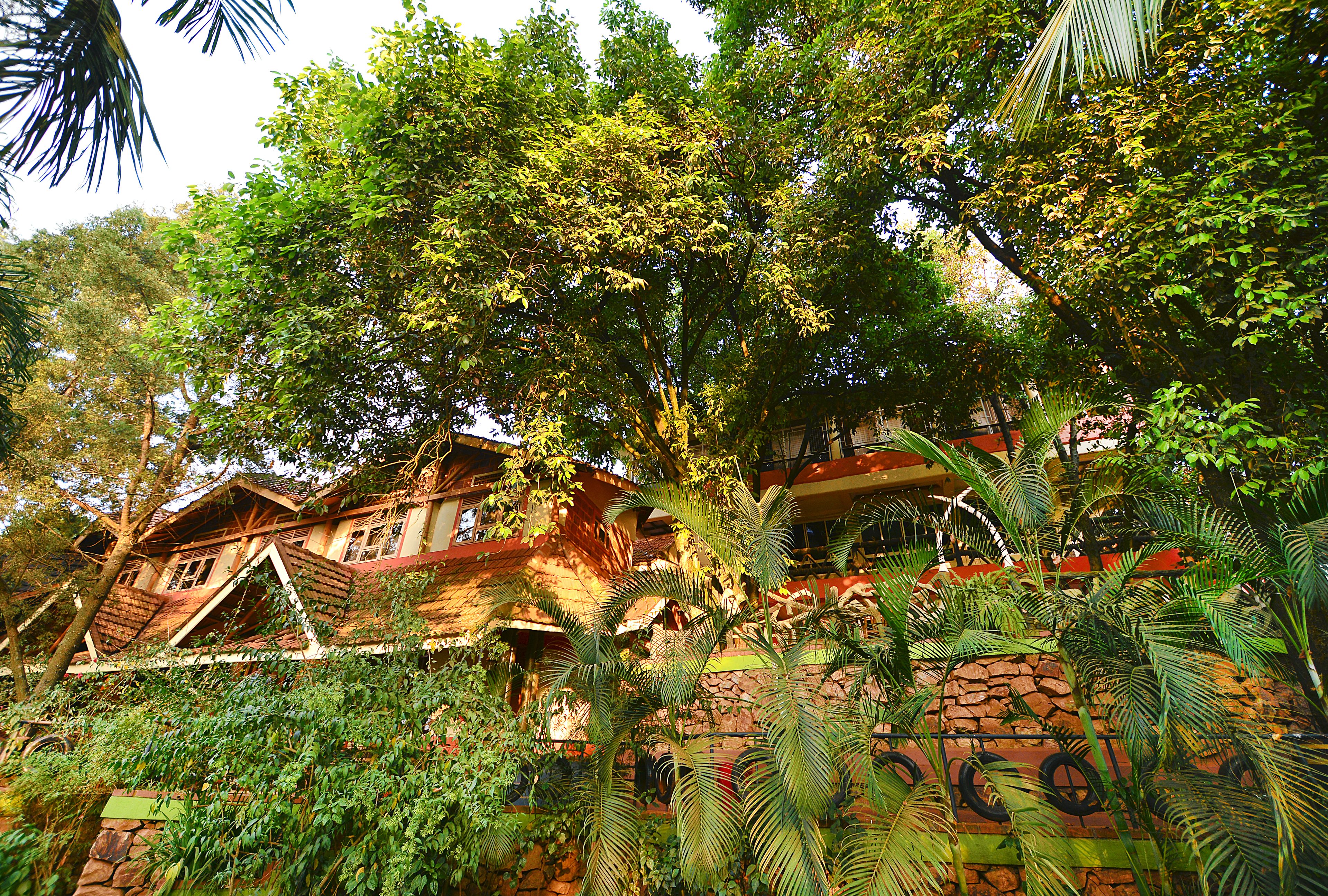 A rustic building with a stone facade and a red roof, surrounded by dense greenery and trees.