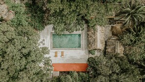 Vista aerea di una piscina circondata da vegetazione lussureggiante, con un pontile in legno e due sdraio.