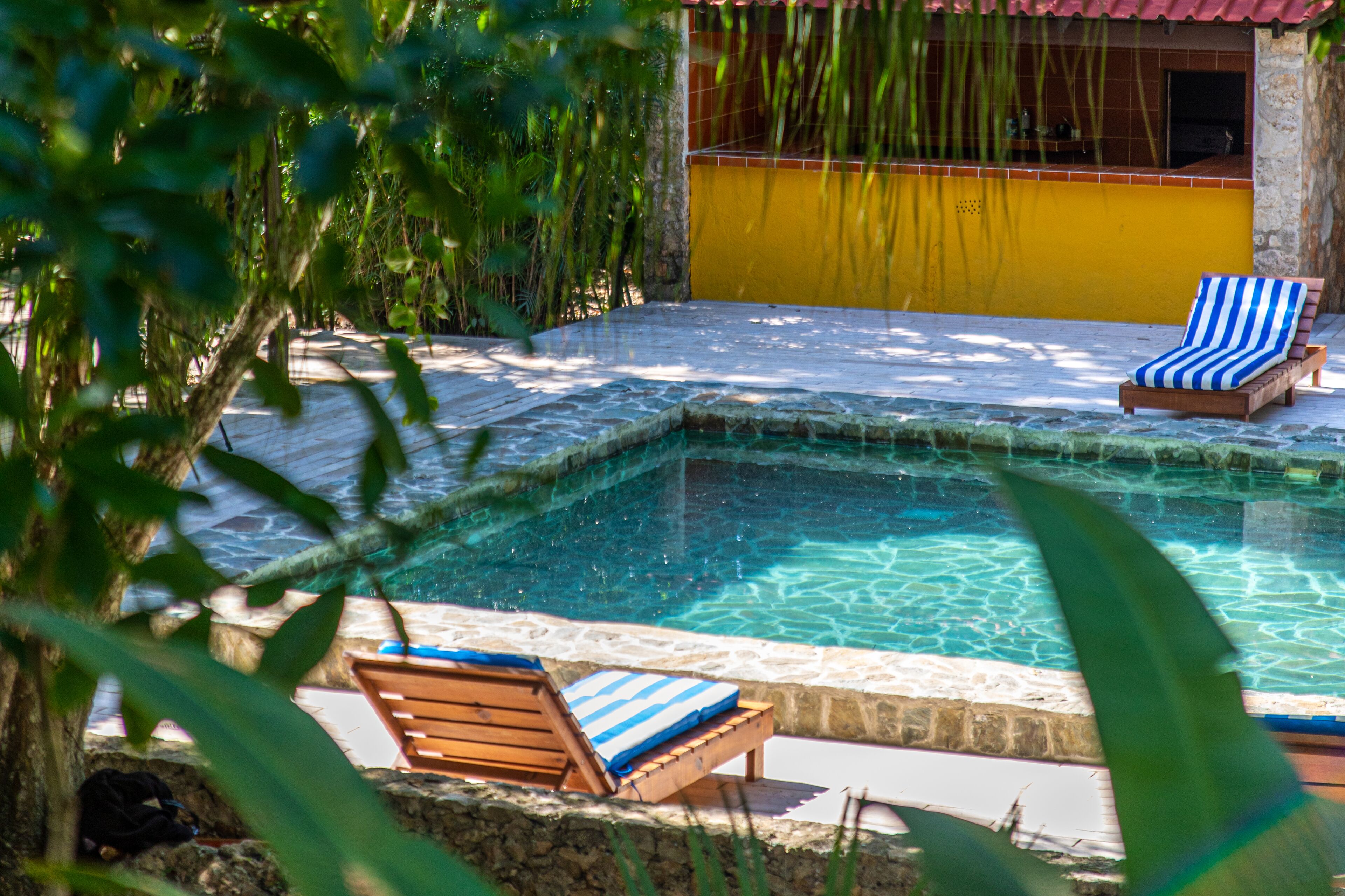 Outdoor pool, sun loungers