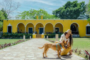 Pet-friendly
