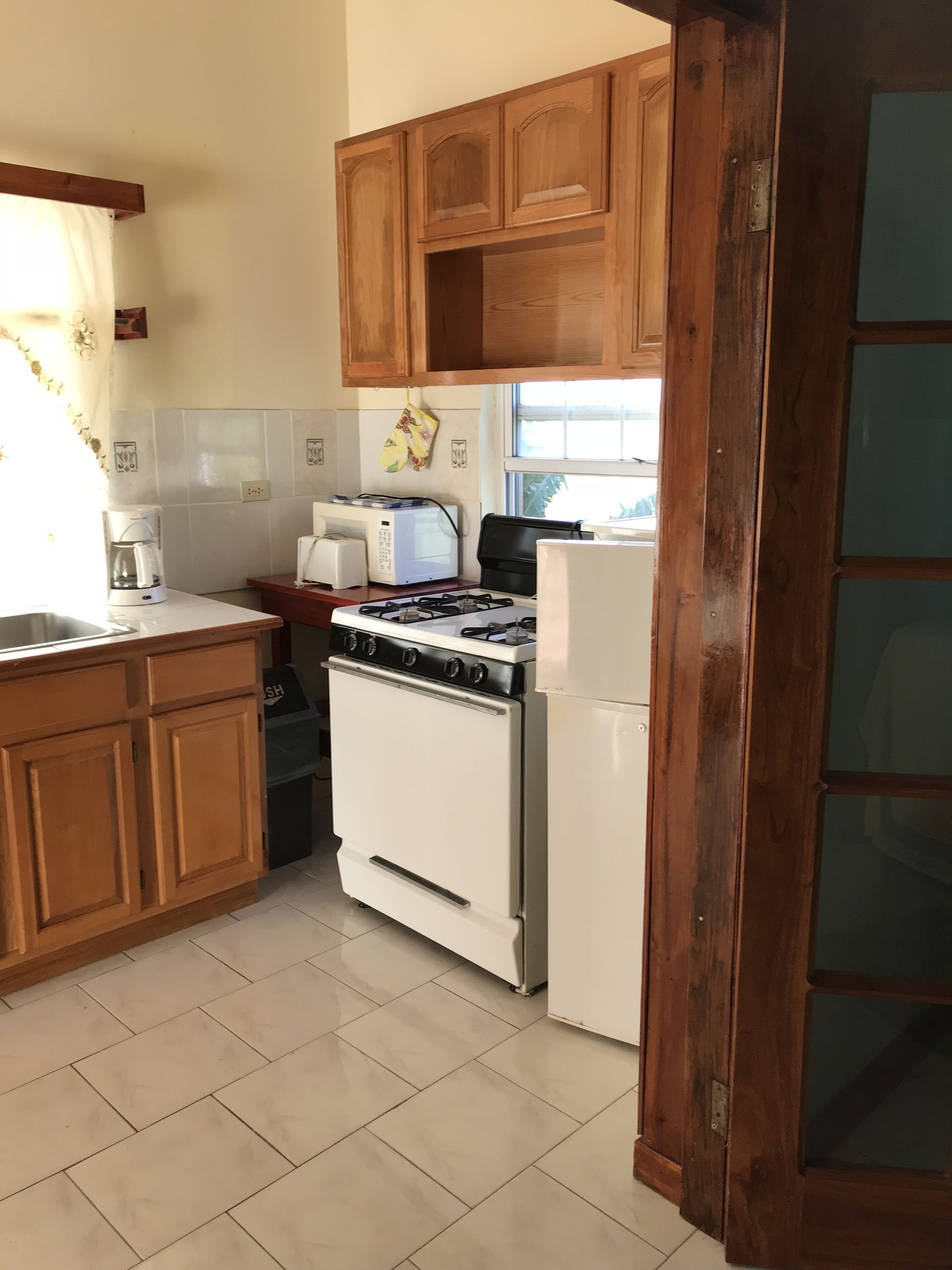 apartment, 1 bedroom, kitchen | private kitchen | fridge