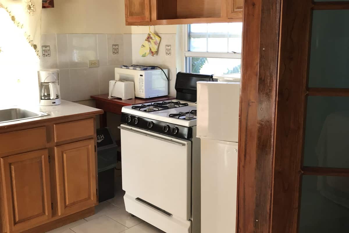 apartment, 1 bedroom, kitchen | private kitchen | fridge