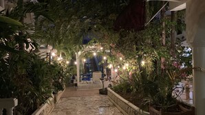 Un sendero pavimentado conduce a un área de descanso con sillas y una mesa, rodeada de abundante follaje y guirnaldas decorativas.