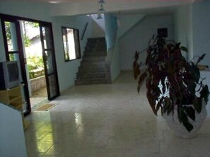 A hallway with a staircase, a television, and a large potted plant.