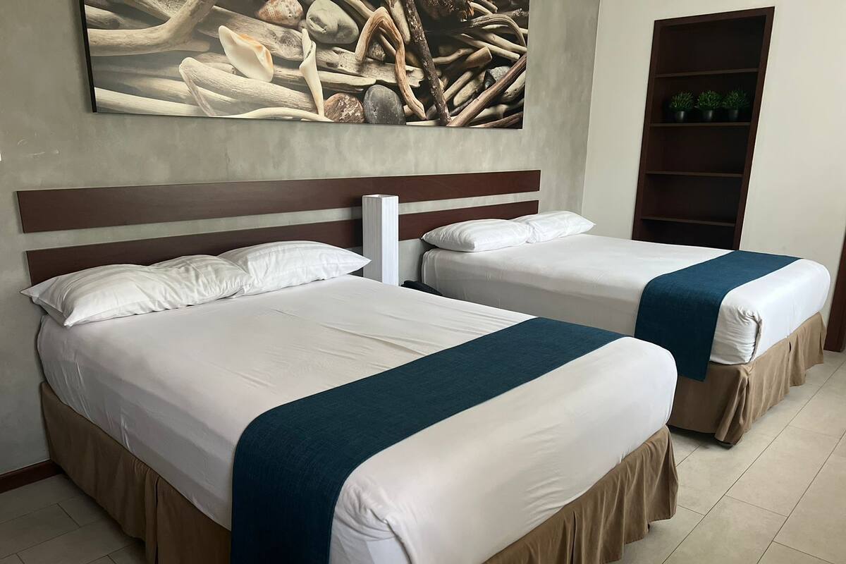 Two beds with white linens and brown skirts, a wooden headboard, and a wall-mounted shelf with potted plants.