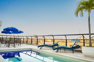 Outdoor pool, sun loungers