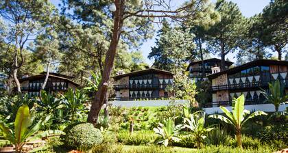 Monteverde Hotel de Cabañas