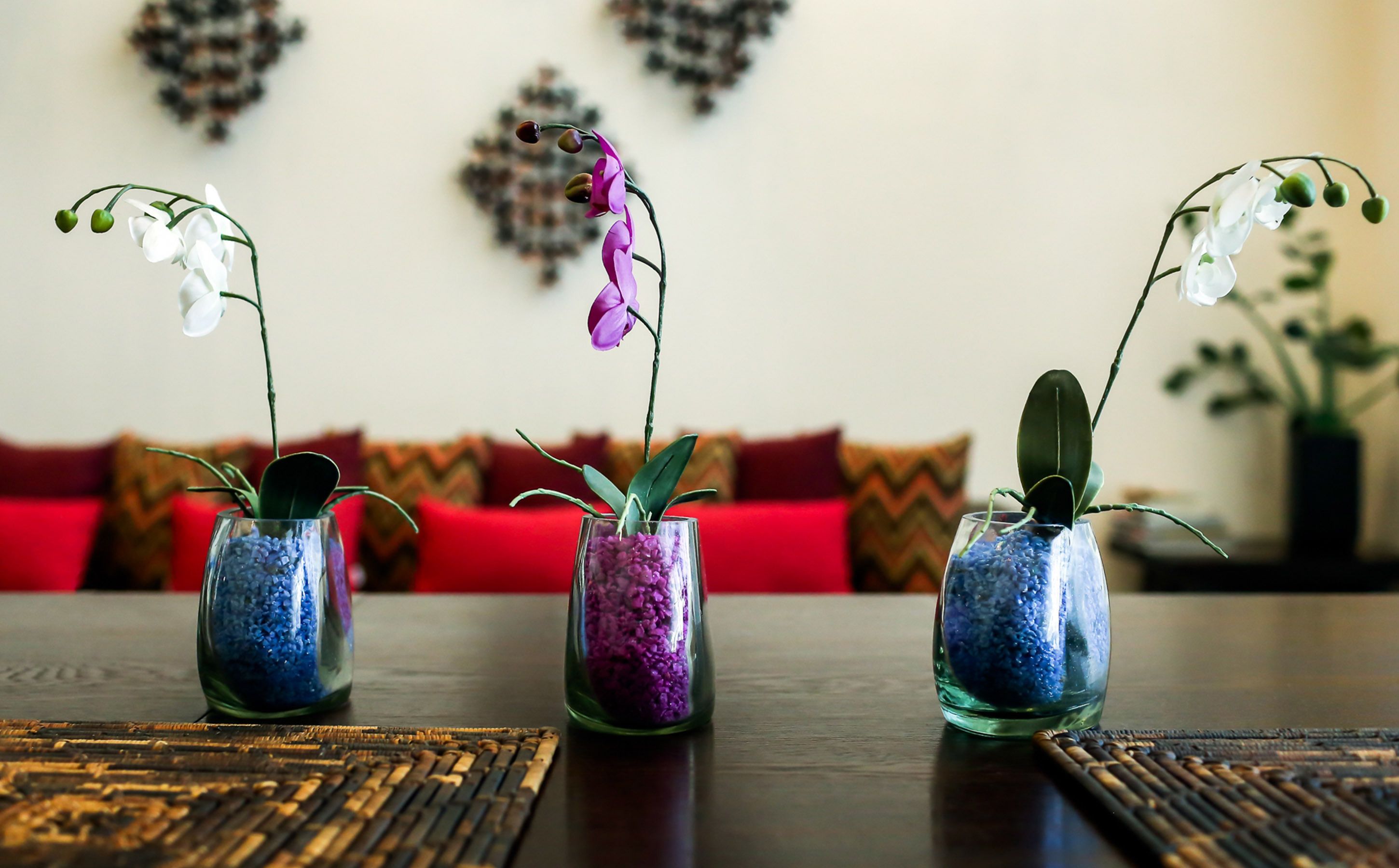 2 bedroom- luxury penthouse norte | living room | 40-cm led tv with satellite channels, tv