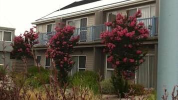 A multi-story building with balconies and a garden area with pink flowering plants.
