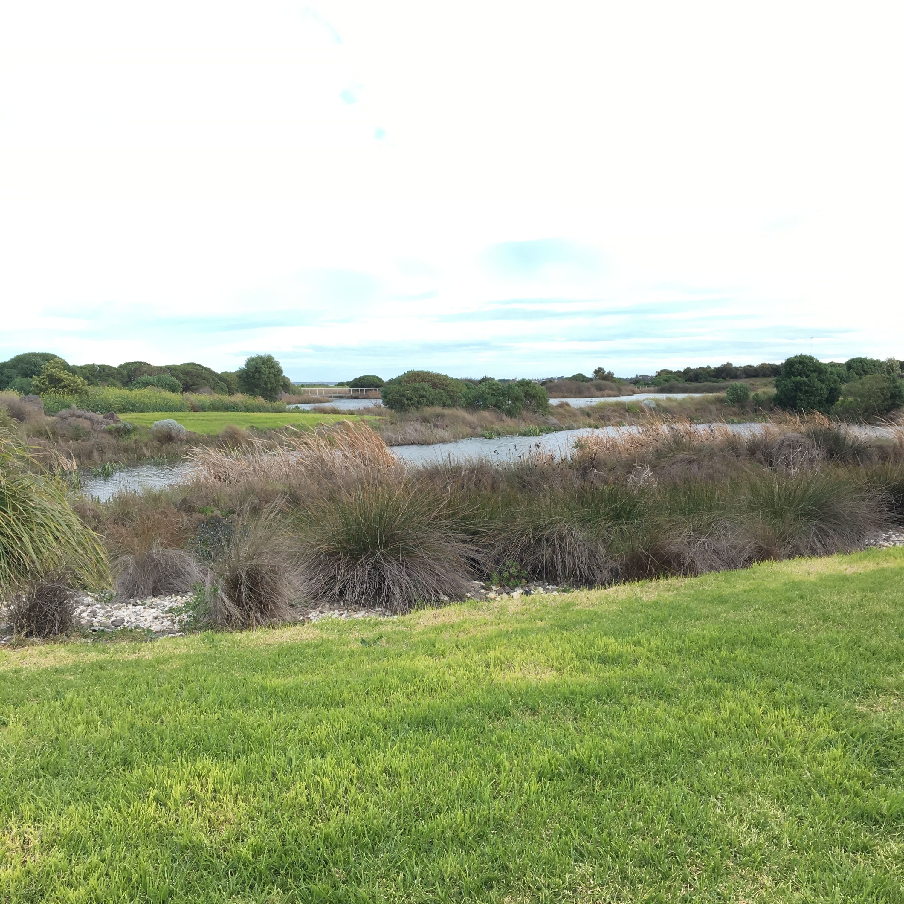 A grassy field with a river and a bridge in the background.