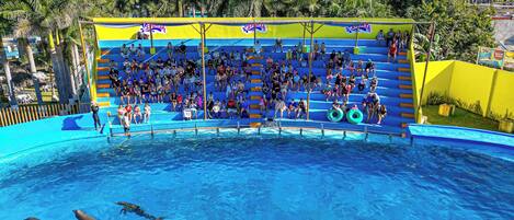 Piscina com palco e assentos para plateia, cercada por palmeiras e um edifício semelhante a um castelo ao fundo.