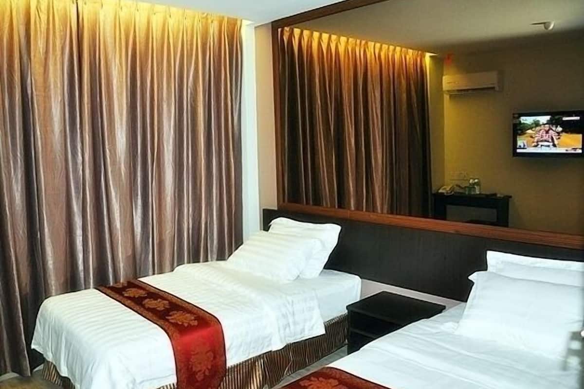 deluxe twin room | iron/ironing board, rollaway beds, free wifi