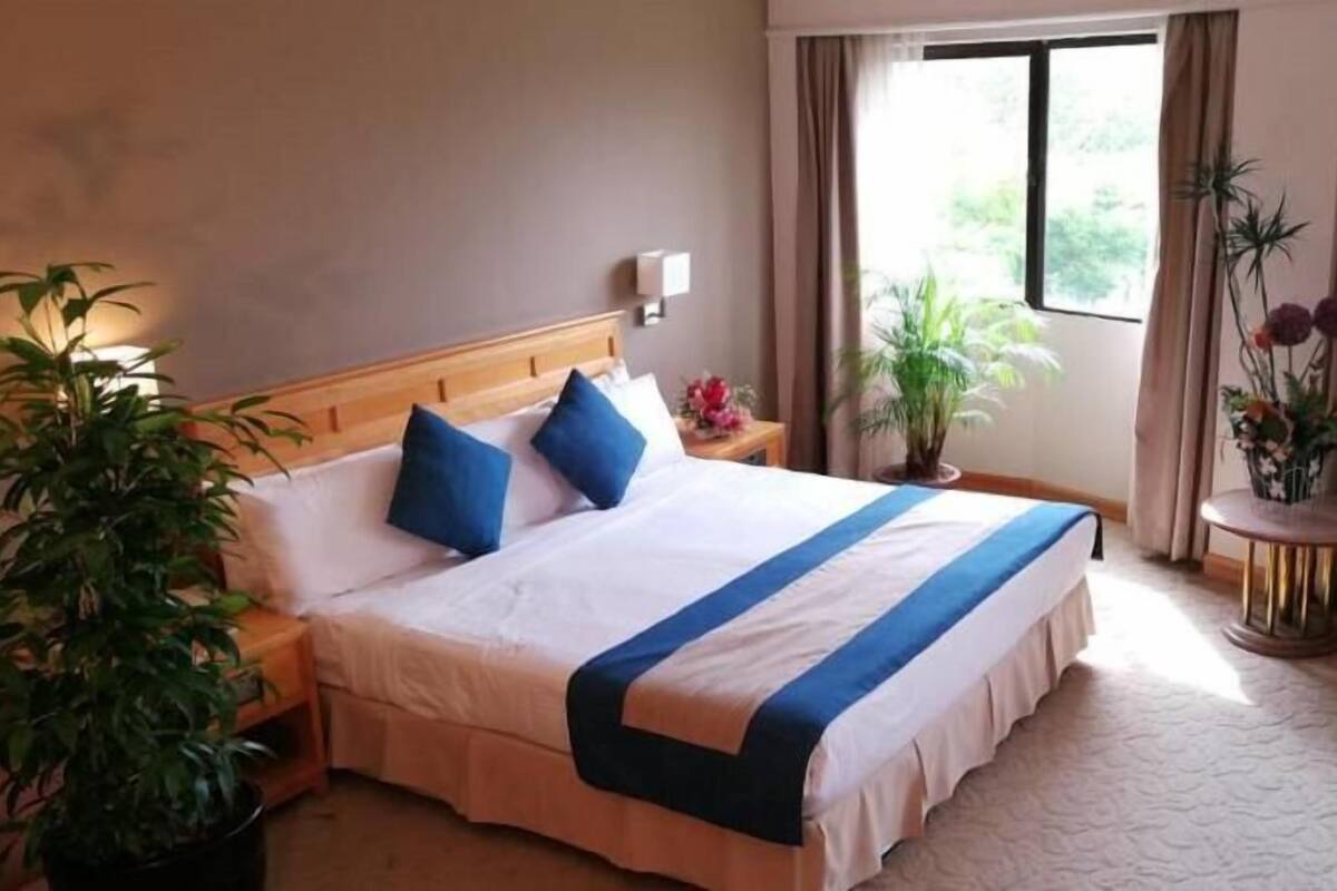 Una habitación de hotel con cama, mesitas de noche, una silla, una planta en maceta y una ventana con cortinas.
