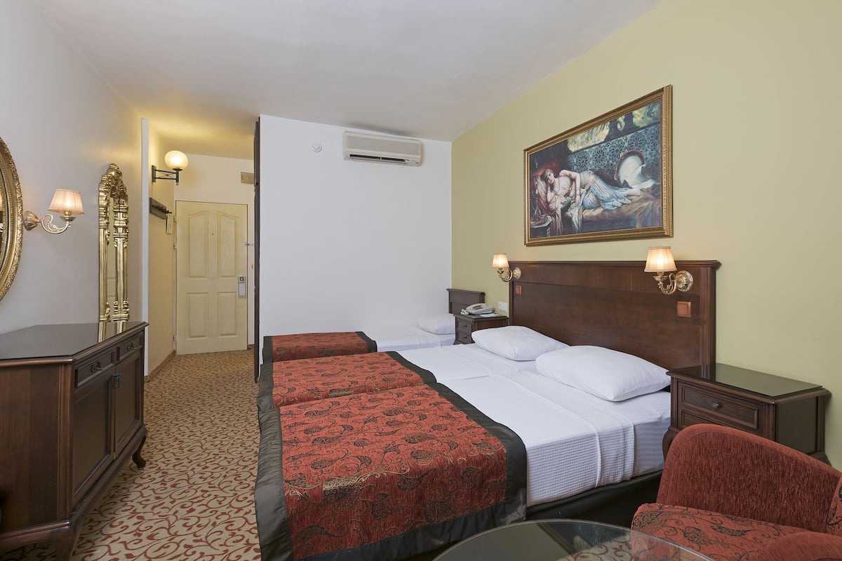 Standard Triple Room | View from room