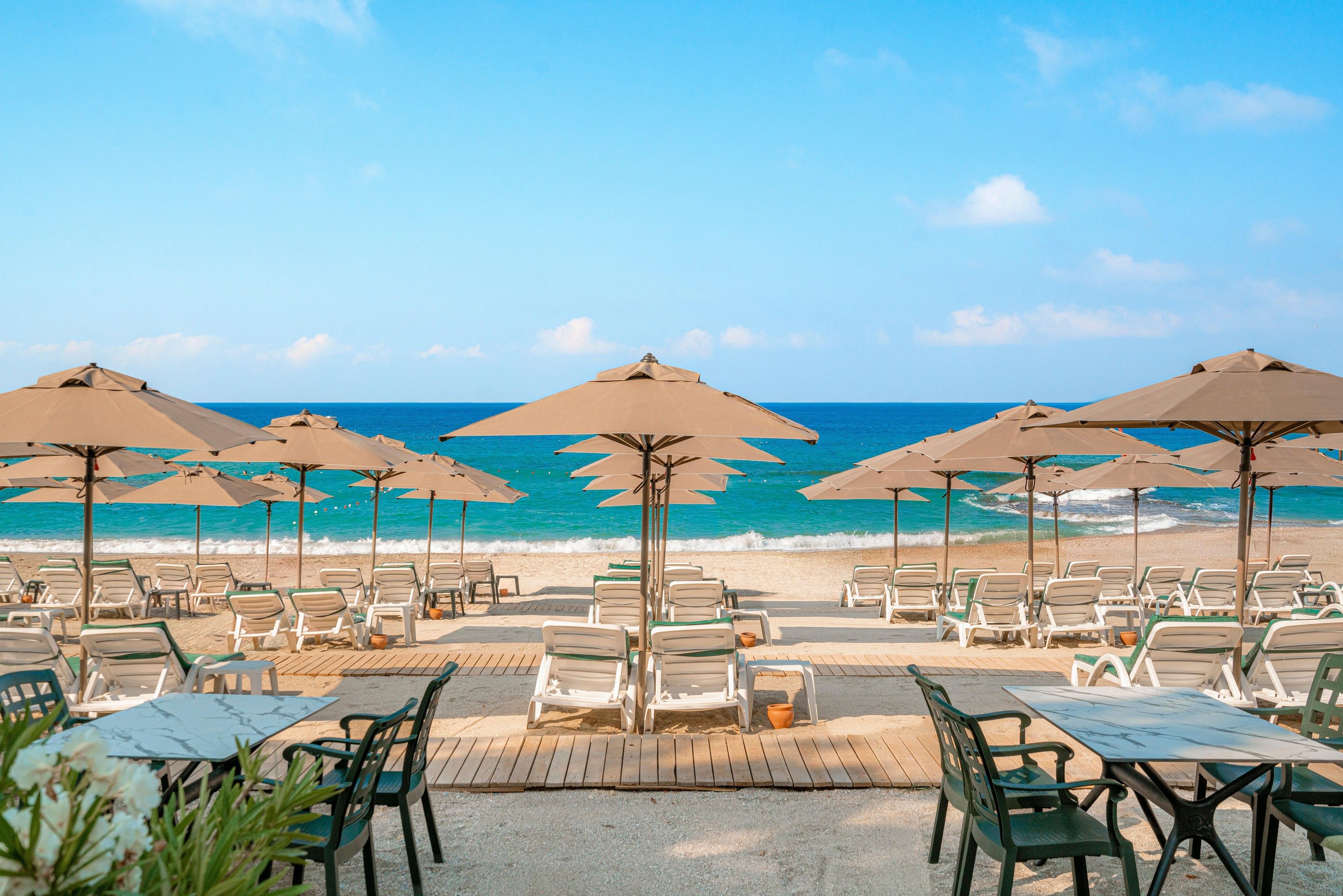 A beachside seating area with umbrellas and lounge chairs facing the ocean.
