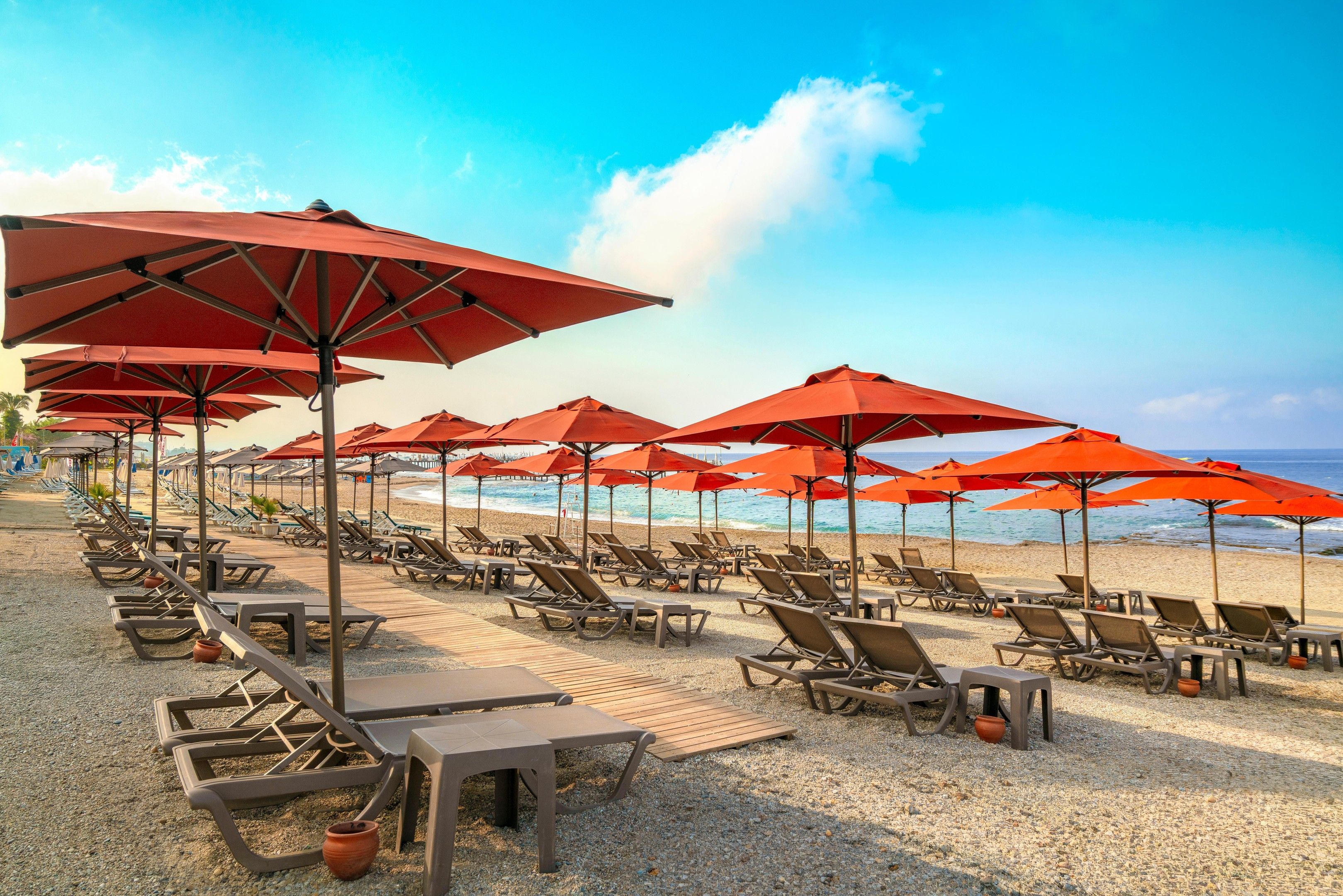 A beach with rows of sun loungers and red umbrellas.