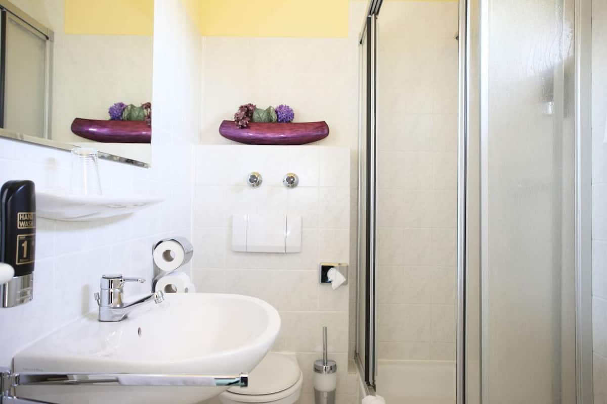 shower, free toiletries, hair dryer, towels