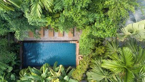 Indoor pool, outdoor pool, sun loungers - The Community - Siem Reap (Siem Reap)