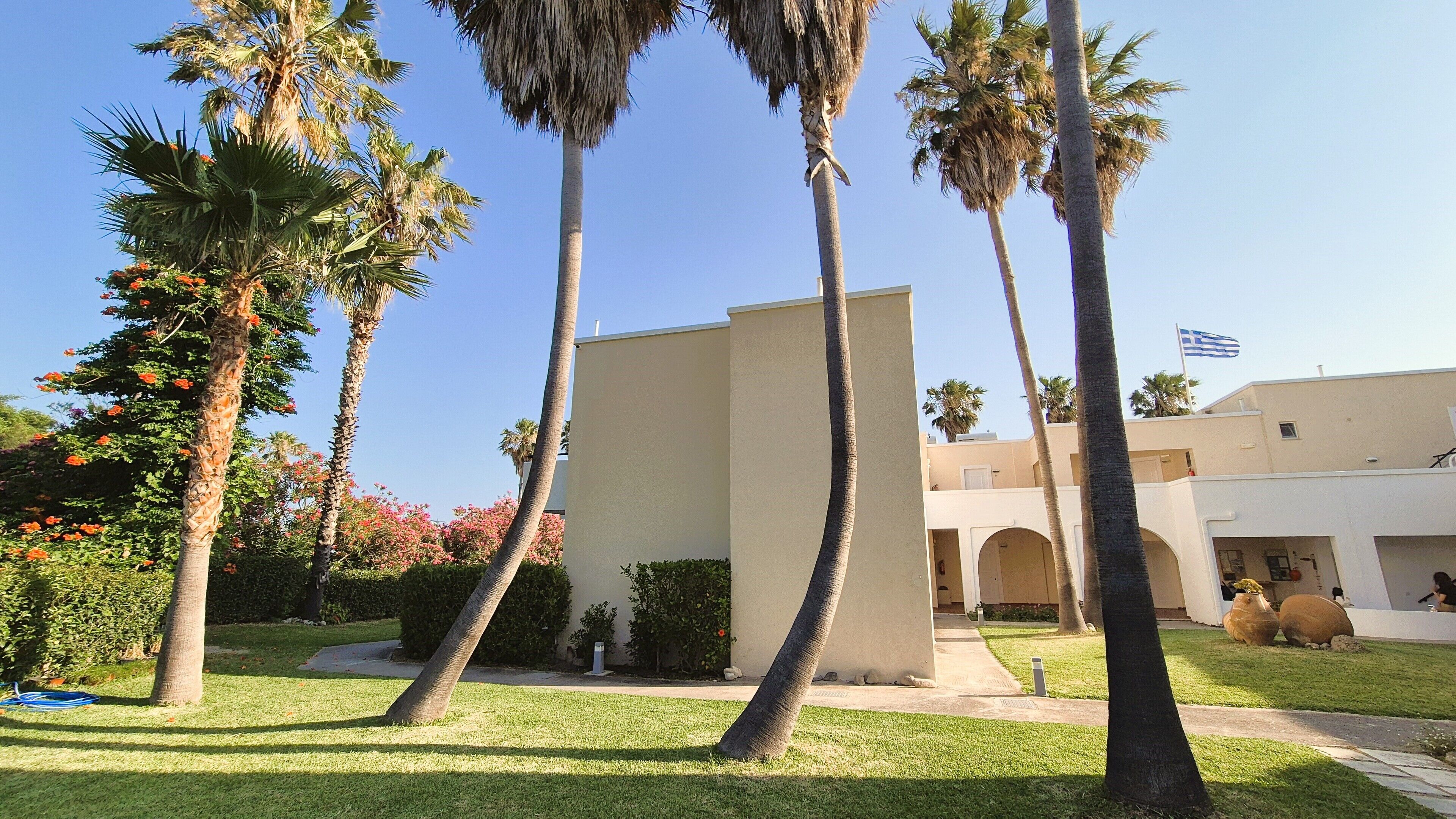 A building with a flat roof, surrounded by palm trees and a well-maintained lawn.
