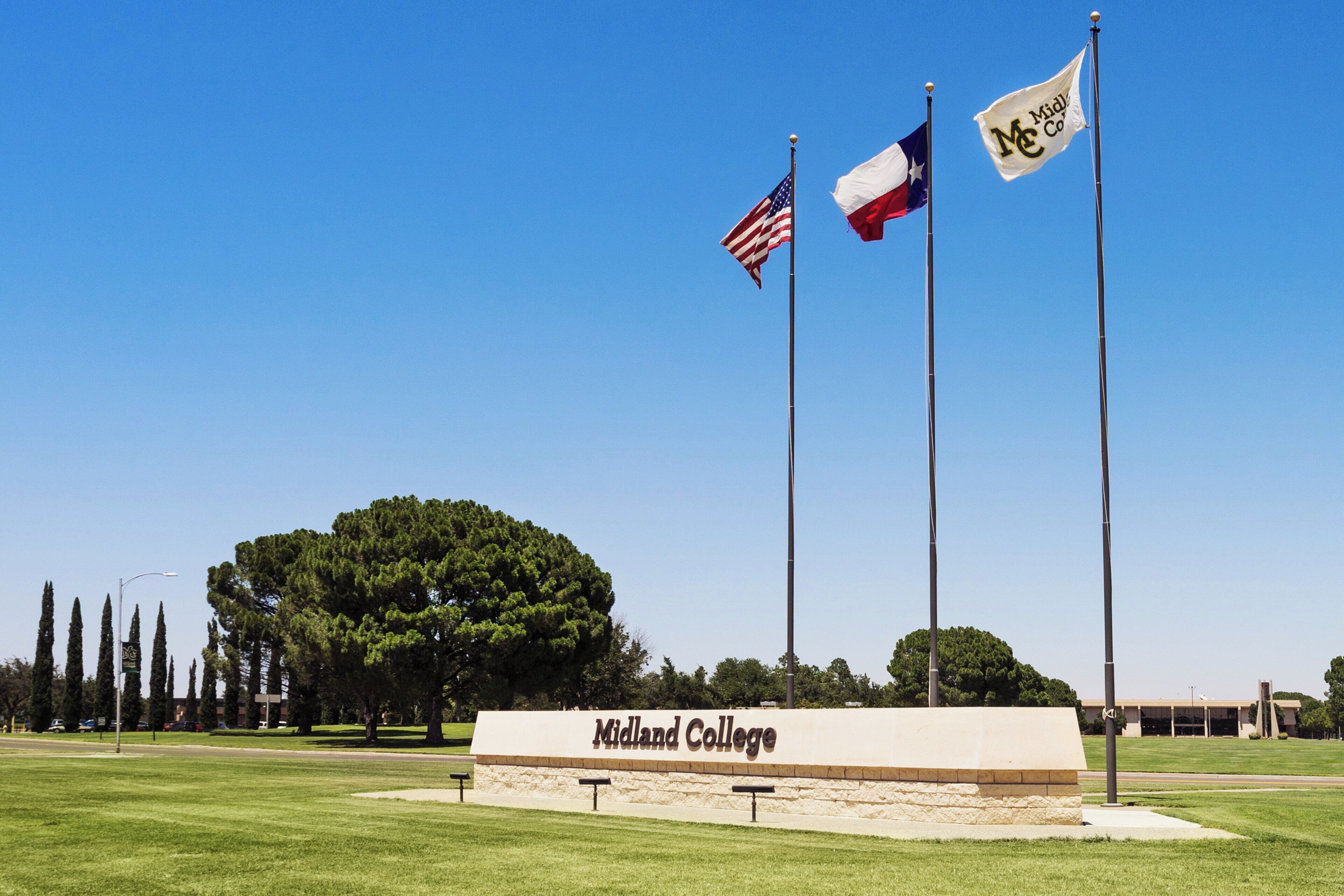 A grassy area with a sign for Midland College, three flagpoles with flags, and a large tree in the background.