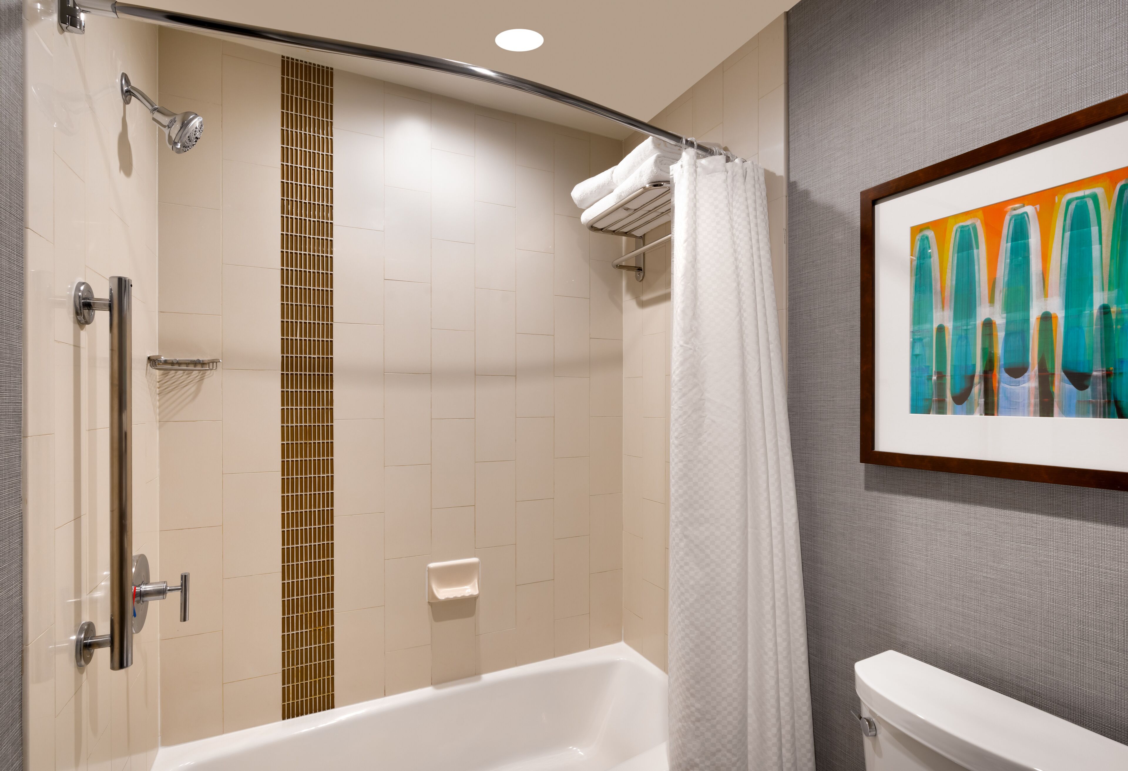A modern bathroom with a shower, a bathtub, and a toilet.