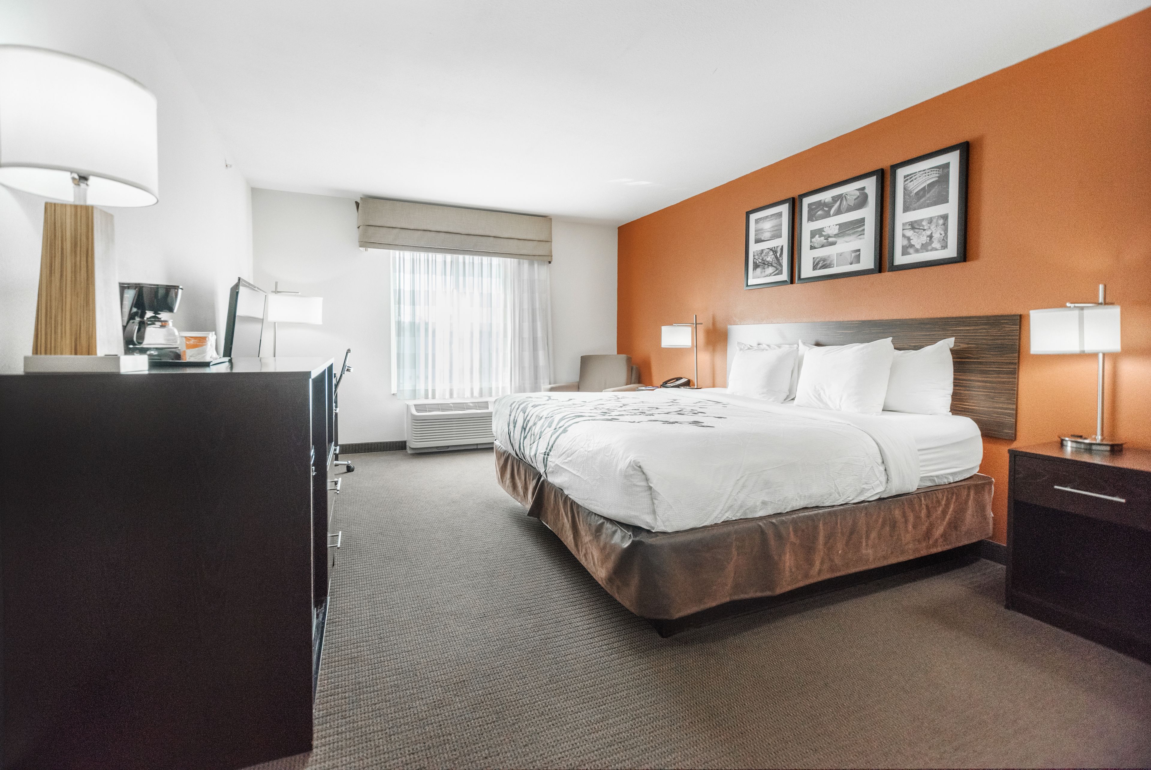 In-room safe, desk, iron/ironing board, rollaway beds