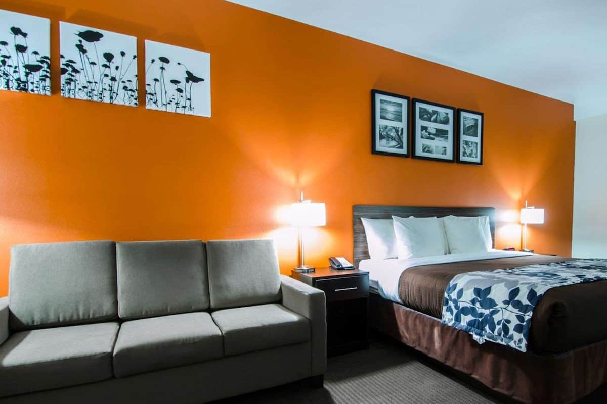 Suite, 1 King Bed, Non Smoking | 1 bedroom, in-room safe, desk, iron/ironing board