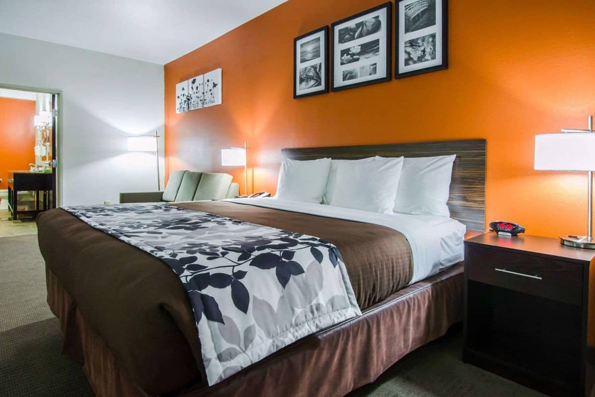Suite, 1 King Bed with Sofa bed, Non Smoking (Efficiency) | 1 bedroom, in-room safe, desk, iron/ironing board