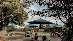 Un espace extérieur aménagé avec des tables de pique-nique et des parasols.
