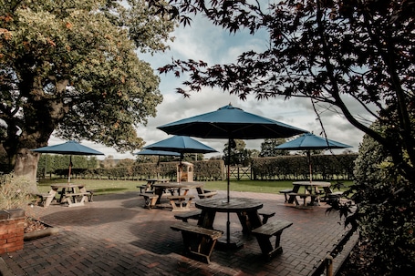 Outdoor wedding area