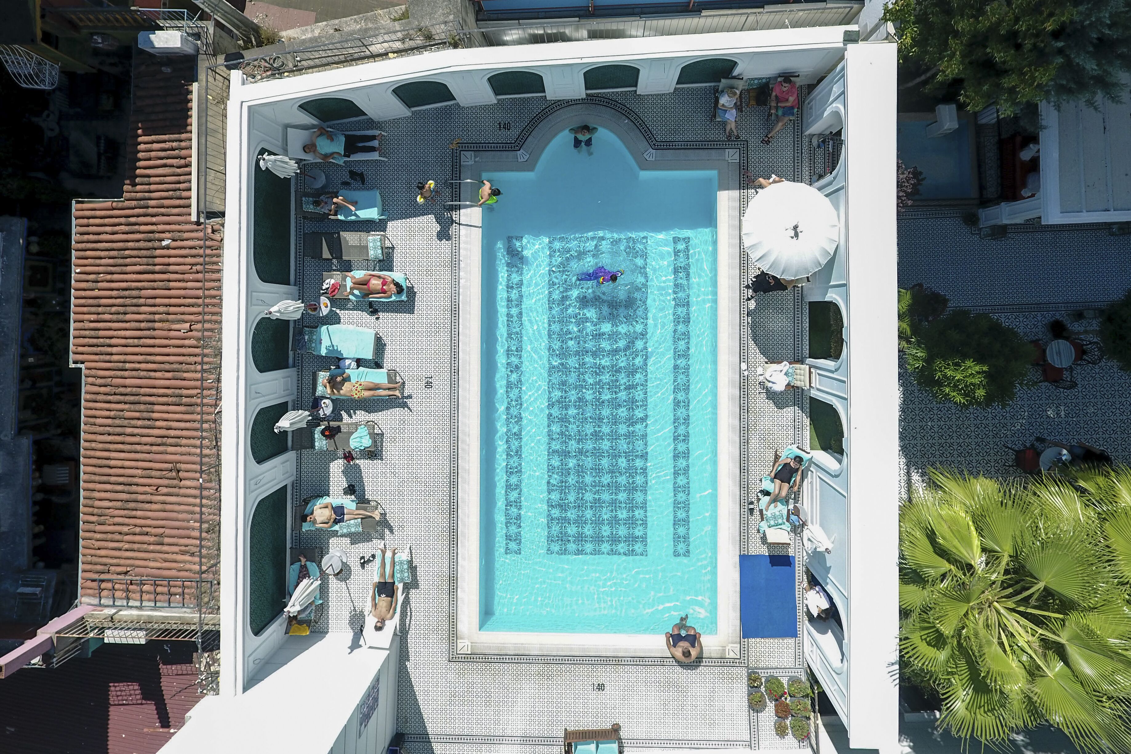 Una piscina en la azotea con múltiples sillones de descanso y sombrillas, rodeada por una terraza de baldosas y una palmera.