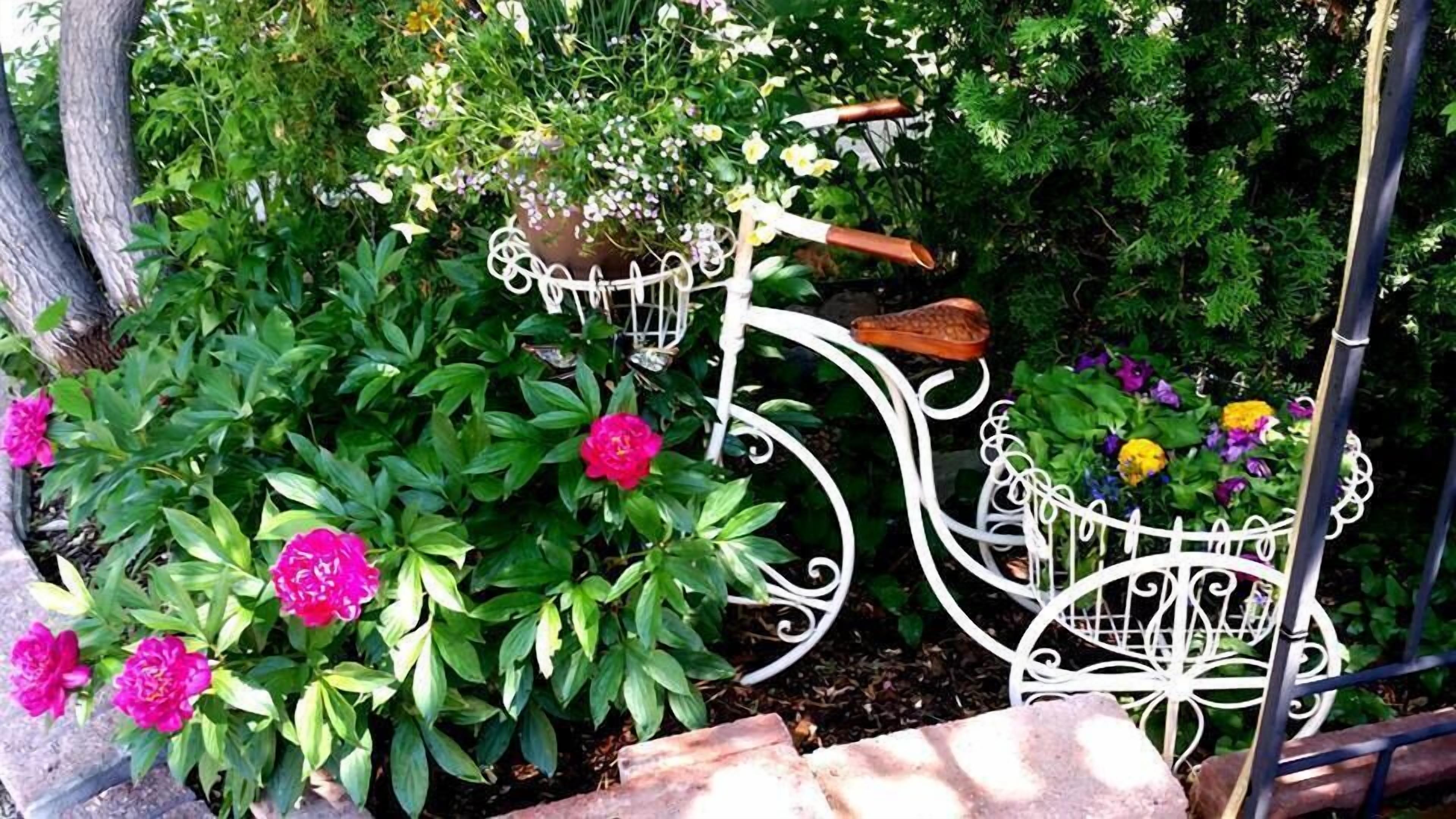A garden with a white metal bicycle and a bench.