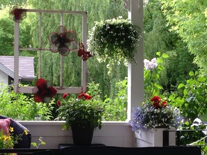 A window with a white frame, red flowers, and hanging plants. - Charles Street Holiday Home (Lethbridge)