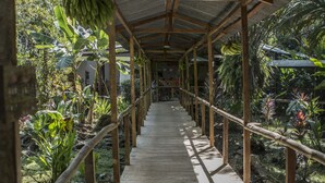 A covered walkway with wooden railings, surrounded by lush tropical plants and hanging bananas.