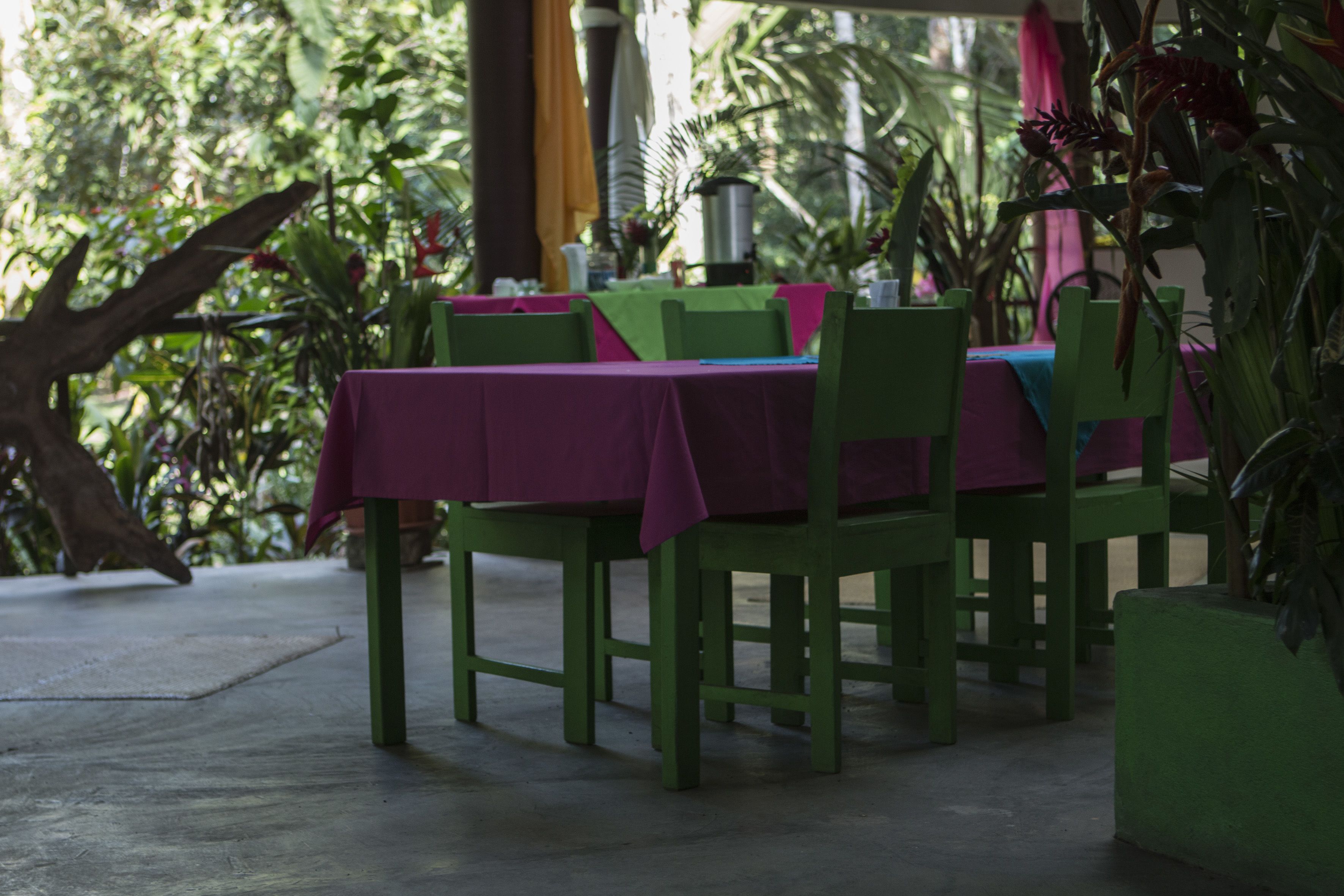A table set with a purple tablecloth, green chairs, and a potted plant.