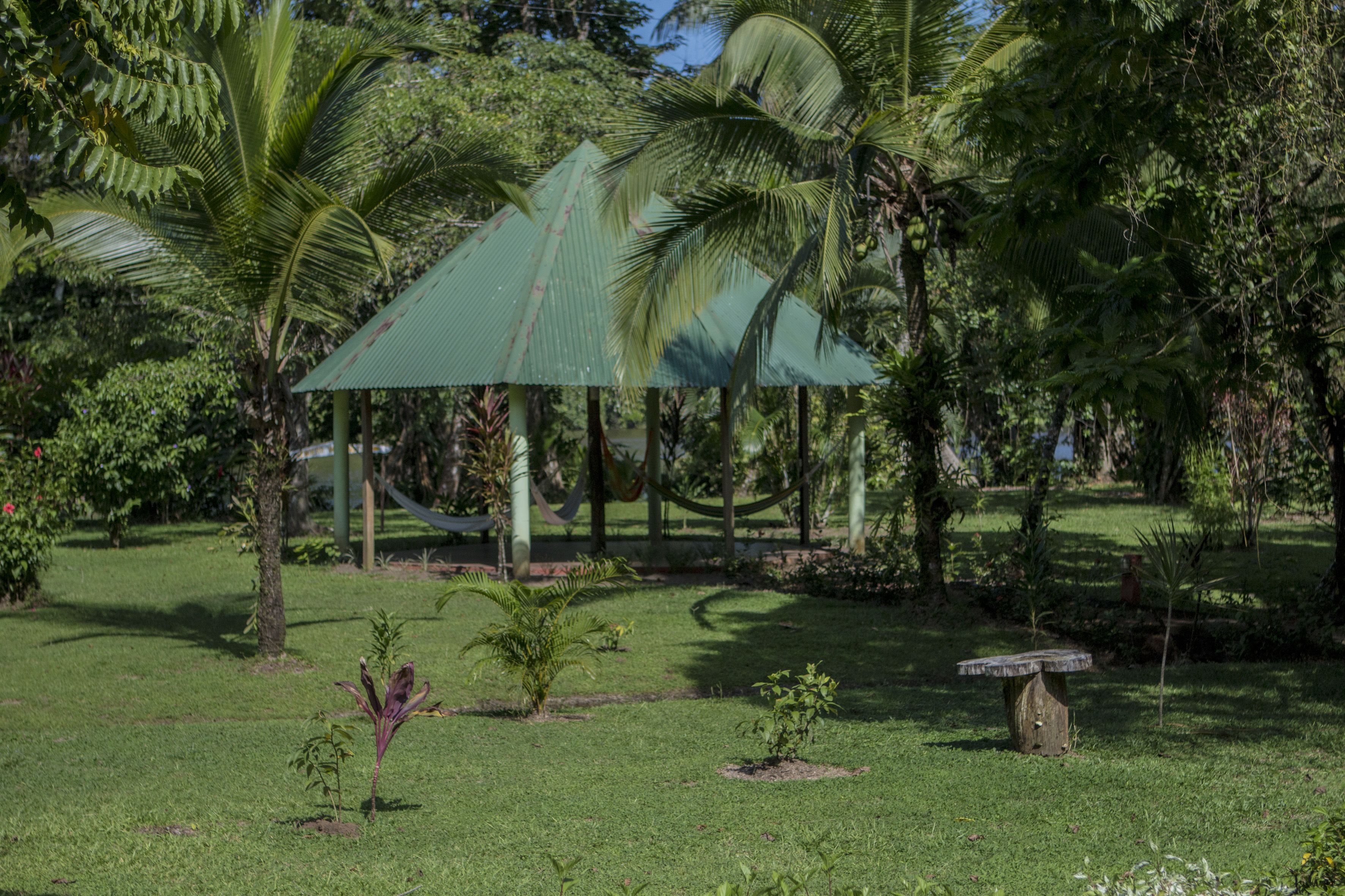 Taman
