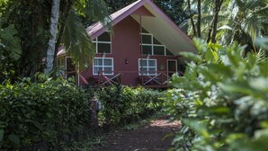 A small, red building surrounded by dense tropical foliage.
