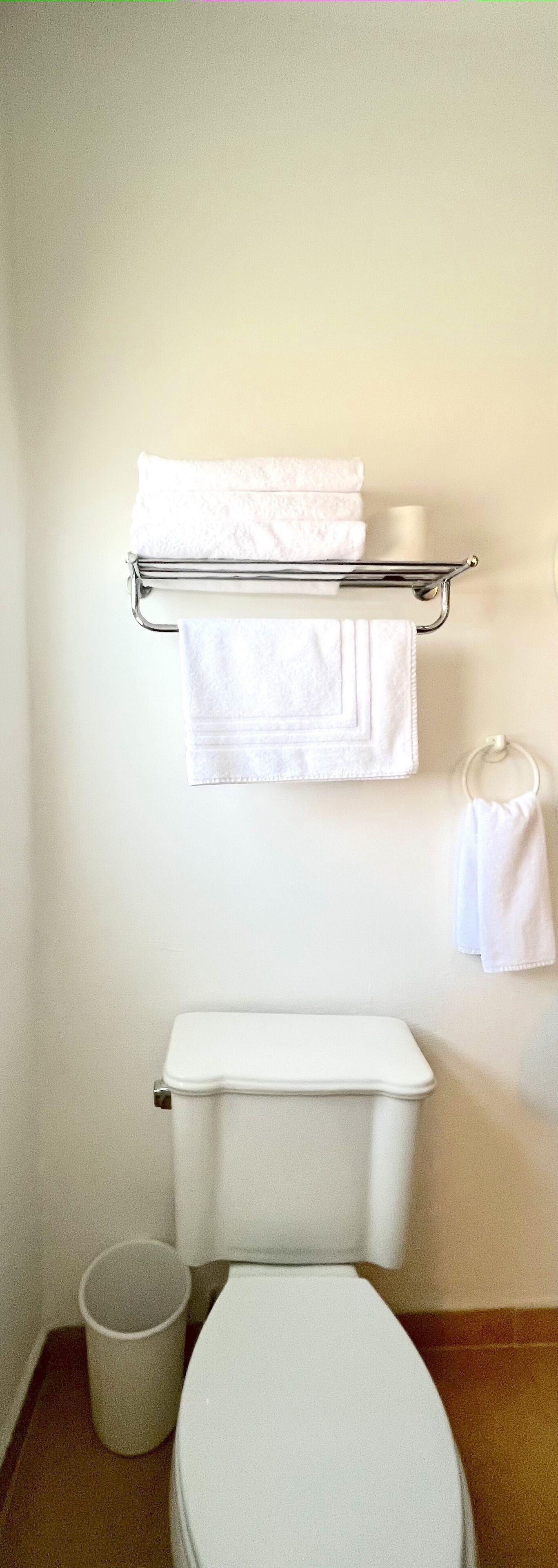 Une salle de bain équipée de toilettes, d’une poubelle et d’un porte-serviettes avec des serviettes pliées.