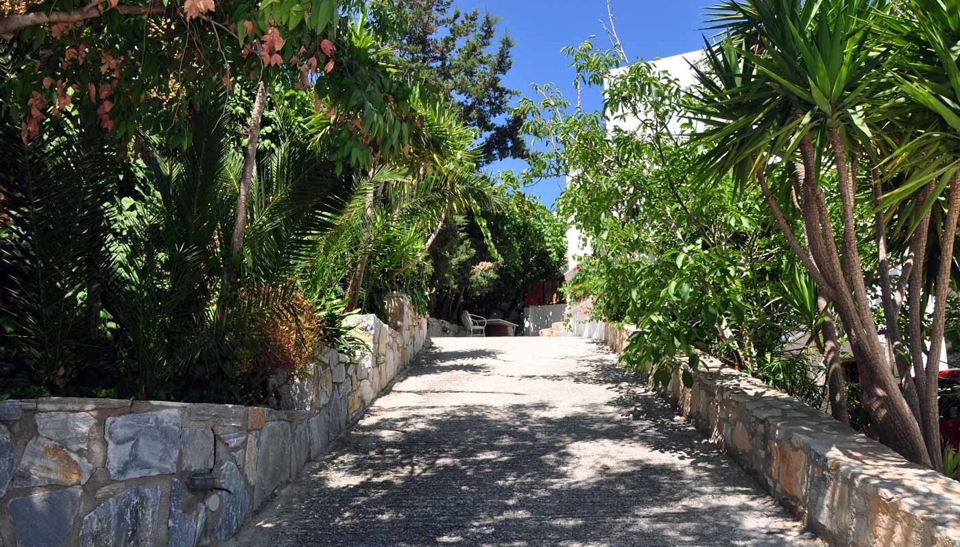 A pathway flanked by stone walls and lush greenery, leading to a building with a white facade.