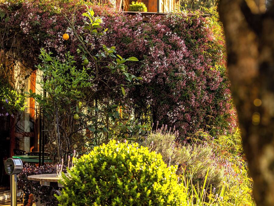 Un edificio con fachada de madera, un jardín con diversas plantas y una estructura metálica.