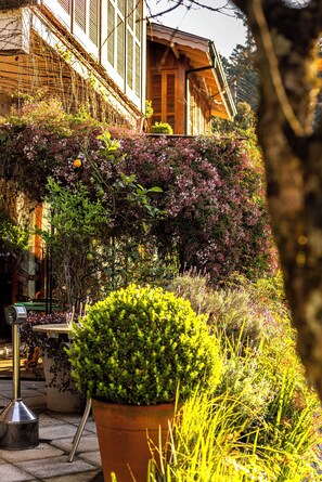 Un edificio con fachada de madera, un jardín con diversas plantas y una estructura metálica.