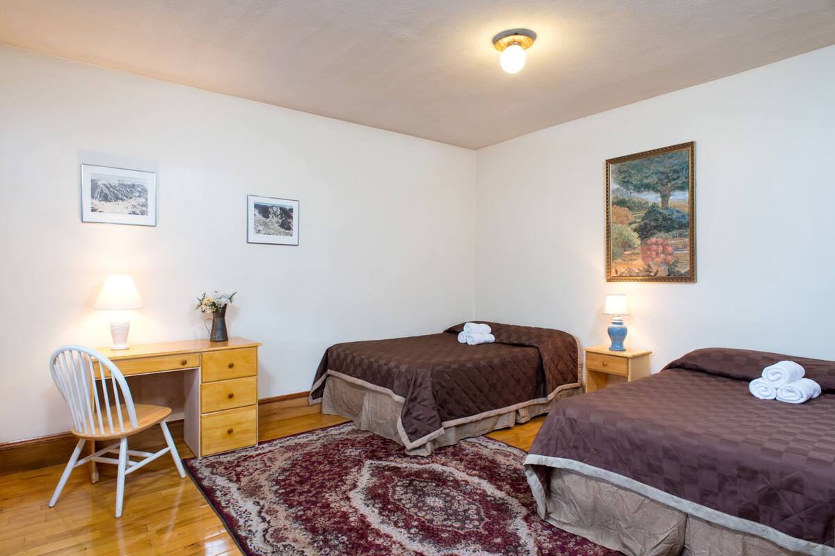 A bedroom with two beds, a desk, a chair, and a rug.